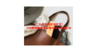 プロ野球観戦する際の持ち物まとめ