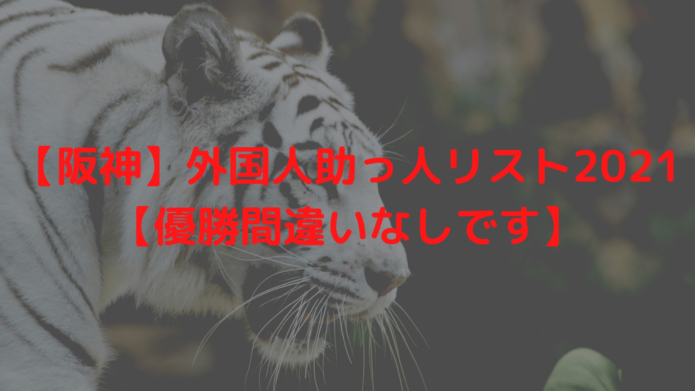 阪神 外国人助っ人リスト21 優勝間違いなしです