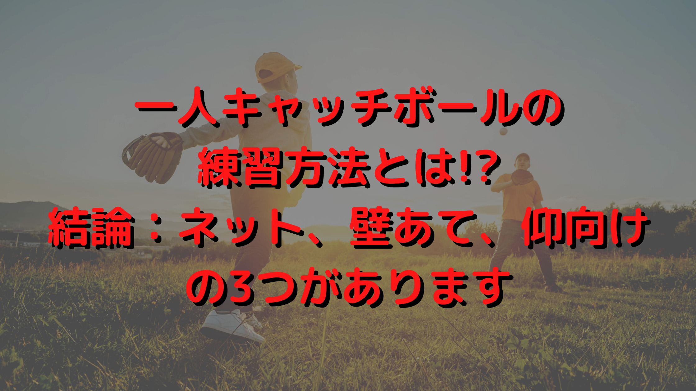 一人キャッチボールの練習方法とは 結論 ネット 壁あて 仰向けの3つがあります プロ野球観戦の巣