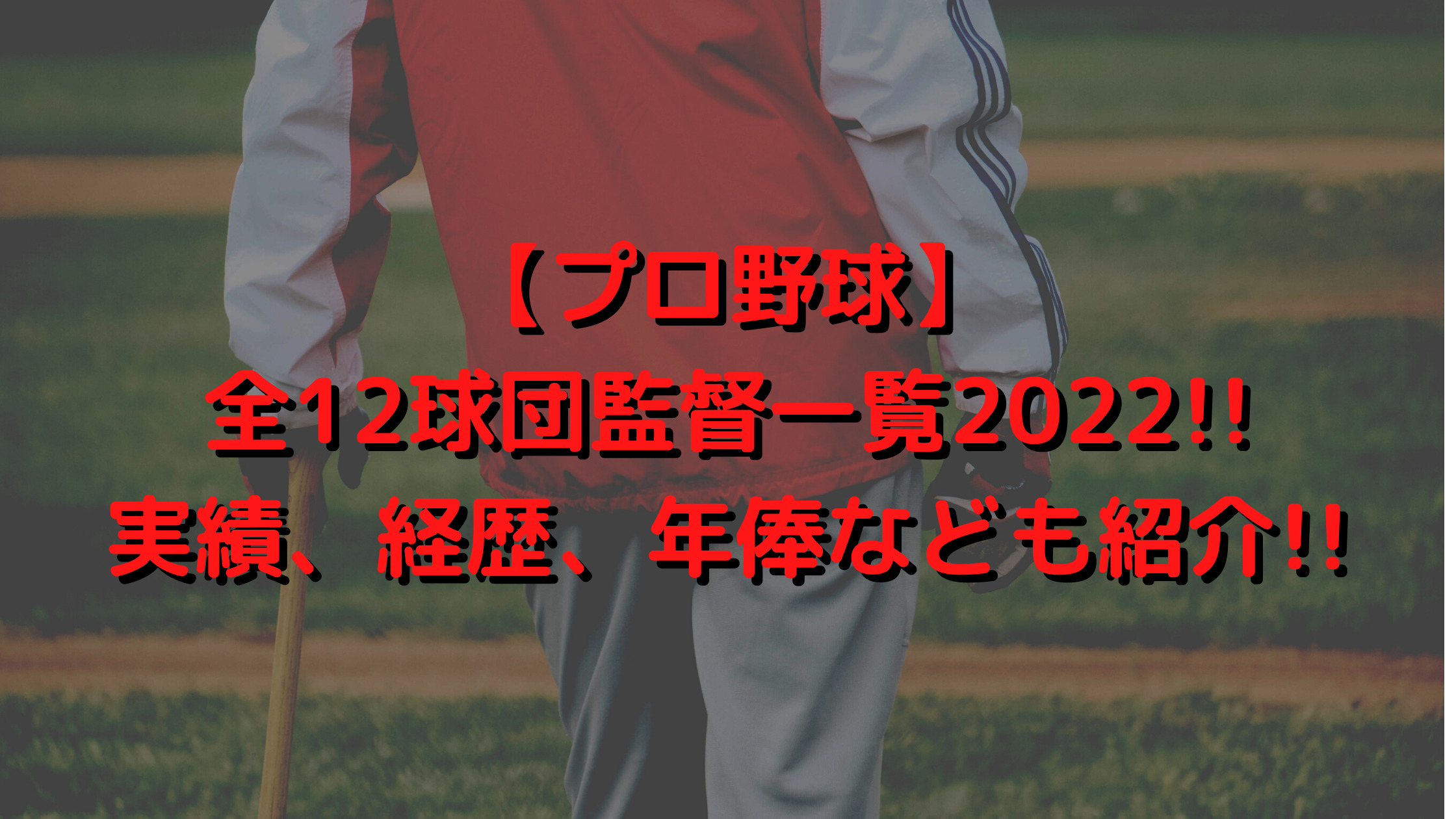 【プロ野球】全12球団監督一覧2022!!実績や経歴、 年俸なども紹介!!
